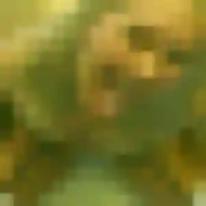Photo de Gladys à Vornay (42 ans) - plan cul discret