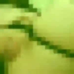 Photo de Bettina à Warmeriville (42 ans) - plan cul gratuit