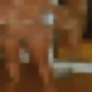 Photo perso de Fabienne, 29 ans à Wingen-sur-Moder - plan discret