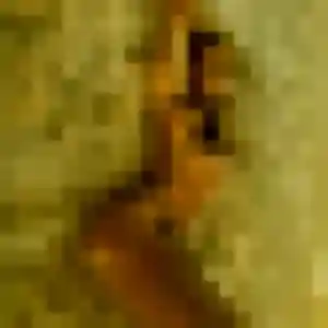Profil de Flavie à Xertigny (38 ans) - plan cul anonyme